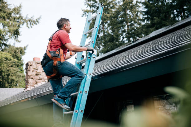 Best 4 Ply Roofing  in Seabrook, TX